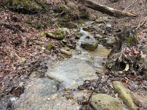 tbd Nc 6401, Jasper, AR 72641 photo 15