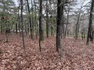 tbd Nc 8863, Jasper, AR 72641 photo 4