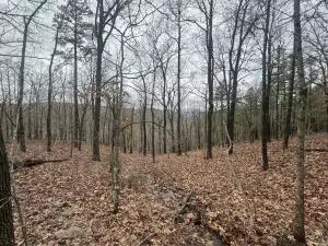 tbd Nc 8863, Jasper, AR 72641 photo 7