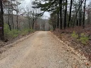 tbd Nc 8863, Jasper, AR 72641 photo 5