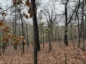 tbd Nc 8863, Jasper, AR 72641 photo 2