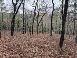 tbd Nc 8863, Jasper, AR 72641