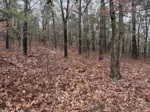 tbd Nc 8863, Jasper, AR 72641 photo 3