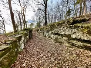 374 Nc 8364, Jasper, AR 72641 photo 67