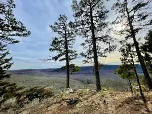 374 Nc 8364, Jasper, AR 72641 photo 70
