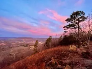 374 Nc 8364, Jasper, AR 72641 photo 25