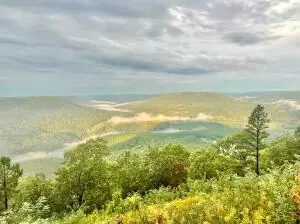 374 Nc 8364, Jasper, AR 72641 photo 56
