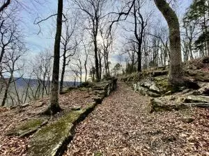 374 Nc 8364, Jasper, AR 72641 photo 68
