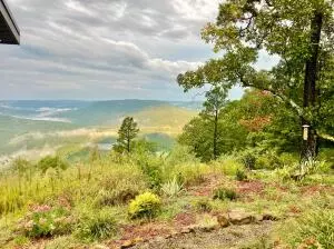374 Nc 8364, Jasper, AR 72641 photo 22