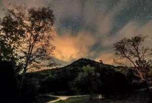374 Nc 8364, Jasper, AR 72641 photo 59