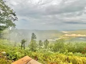 374 Nc 8364, Jasper, AR 72641 photo 57