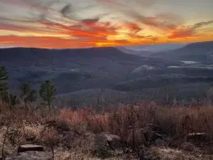 374 Nc 8364, Jasper, AR 72641 photo 60