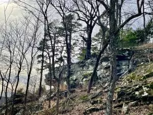 374 Nc 8364, Jasper, AR 72641 photo 66