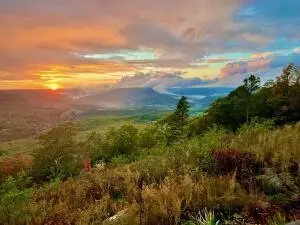 374 Nc 8364, Jasper, AR 72641