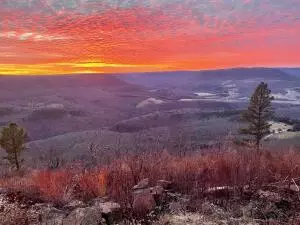 374 Nc 8364, Jasper, AR 72641 photo 61