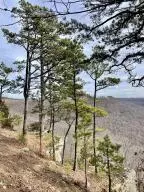 374 Nc 8364, Jasper, AR 72641 photo 71
