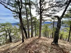 374 Nc 8364, Jasper, AR 72641 photo 72