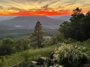 374 Nc 8364, Jasper, AR 72641 photo 3