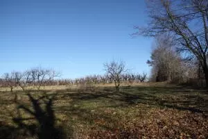 Dees Road, Harrison, AR 72601 photo 7
