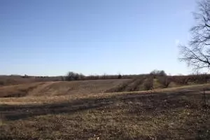 Dees Road, Harrison, AR 72601 photo 2