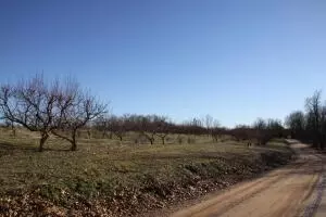 Dees Road, Harrison, AR 72601 photo 3