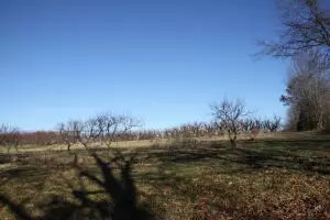 Dees Road, Harrison, AR 72601 photo 6