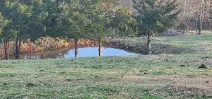 5548 Keeter Ln, Harrison, AR 72601 photo 34