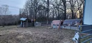 5548 Keeter Ln, Harrison, AR 72601 photo 12