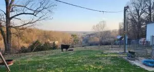 5548 Keeter Ln, Harrison, AR 72601 photo 38