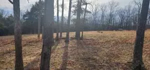 Hc 33 Box 103 A, Compton, AR 72624 photo 29