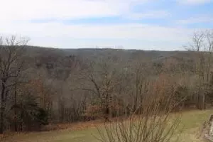 10715 Devore Dr, Harrison, AR 72601 photo 11