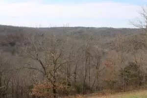 10715 Devore Dr, Harrison, AR 72601 photo 42
