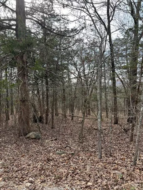 Mallard Drive, Diamond City, AR 72630