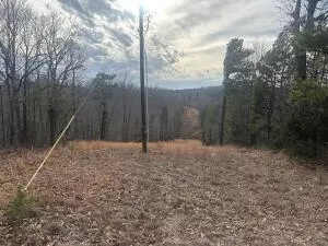 Nc 8735, Jasper, AR 72641 photo 4