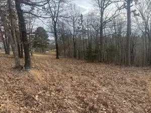 Nc 8735, Jasper, AR 72641 photo 2