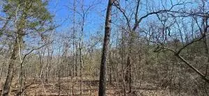 lot51 Fife Ln, Mountain Home, AR 72653