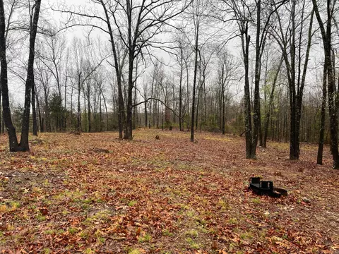 439 Wandas Mountain Dr, Yellville, AR 72687