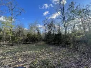 6 9 Acres Hwy 125 S, Peel, AR 72668