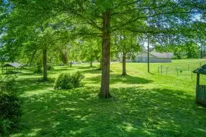 1702 Leonard St, Harrison, AR 72601 photo 42