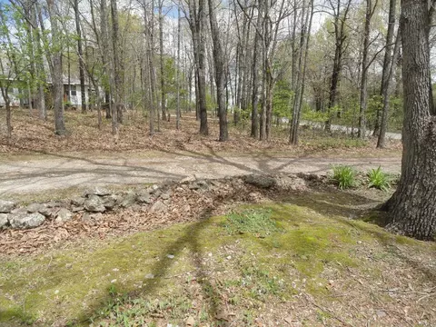 1252 Cr 30, Mountain Home, AR 72653 photo 9