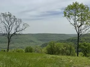 Tract F Ar 7 South, Jasper, AR 72641