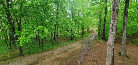 163 Nc 8482, Deer, AR 72628 photo 5