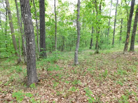 270 Nc 3991, Jasper, AR 72641 photo 35