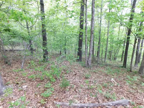 270 Nc 3991, Jasper, AR 72641 photo 31