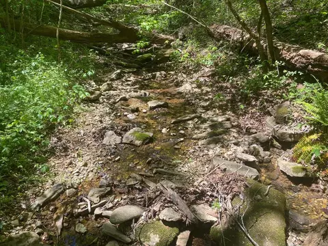 270 Nc 3991, Jasper, AR 72641 photo 60