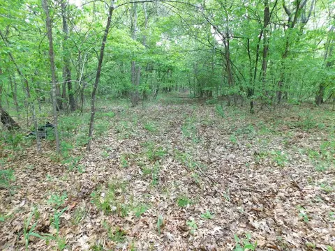 270 Nc 3991, Jasper, AR 72641 photo 34