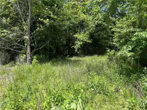 S Woolum Road, St. Joe, AR 72675