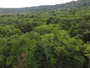 tbd 6401 6277, Jasper, AR 72641 photo 13
