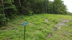 tbd 6401 6277, Jasper, AR 72641 photo 5