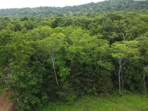 tbd 6401 6277, Jasper, AR 72641 photo 2